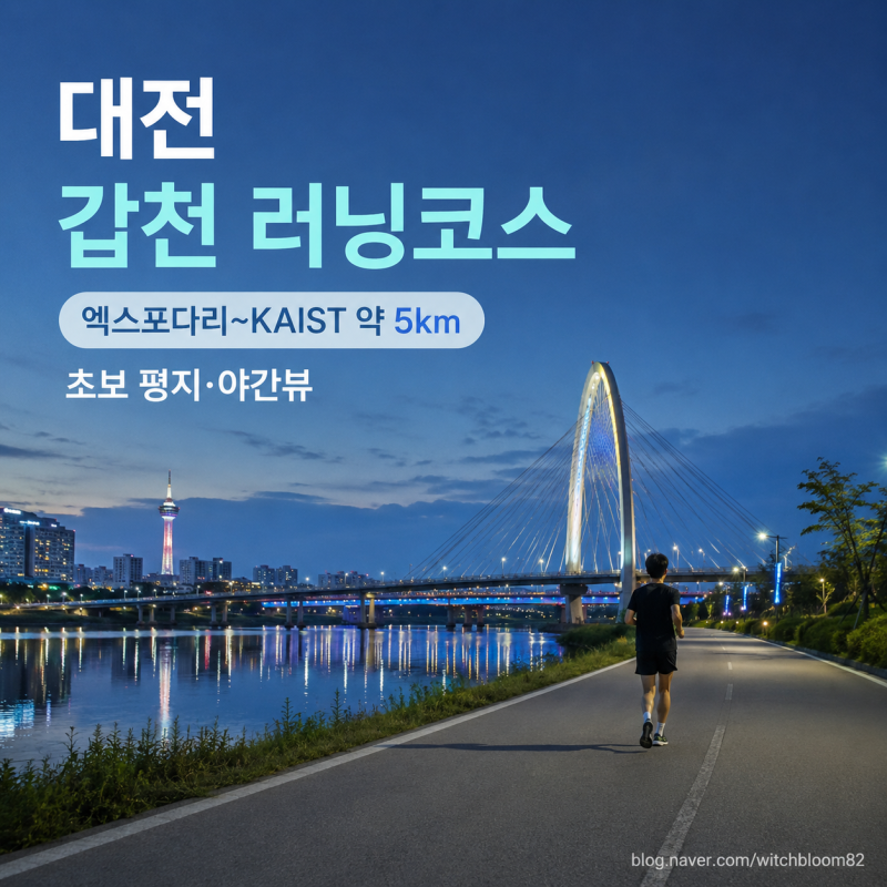 대전 갑천 러닝코스 엑스포다리 5km 초보 야간 가이드