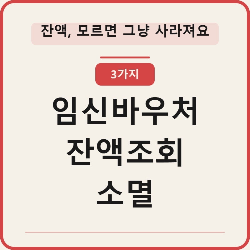 임신바우처 잔액조회·소멸 3가지 깔끔정리