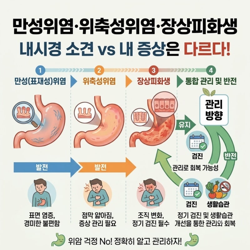 "만성위염·위축성위염이래요"_내시경 소견과 증상은 별개다