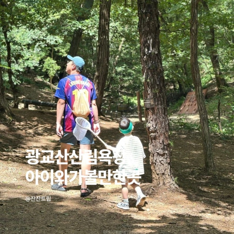 아이와 주말 나들이 장소 추천 광교산산림욕장 숲체험, 무료주차 정보