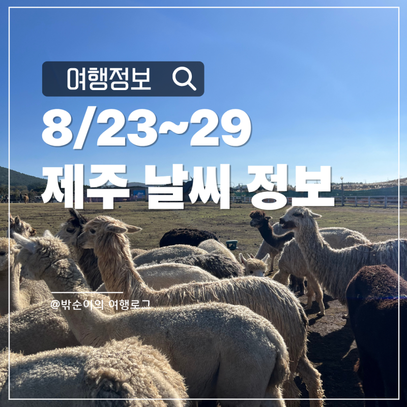 2026년 8월 23일~29일 여름철 제주도 날씨정보 주간예보