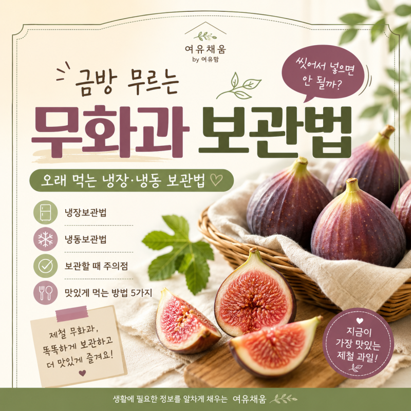 무화과 보관법｜금방 무르는 무화과 오래 먹는 냉장·냉동 보관법