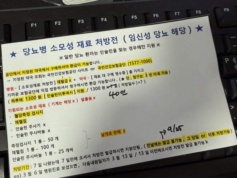 임신성 당뇨 당뇨병 소모성 재료 환급 청구 (청구 서류, 온라인 신청)