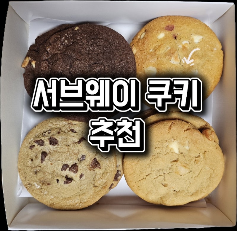 쿠키쳐돌이의 서브웨이 쿠키 5종 중 추천