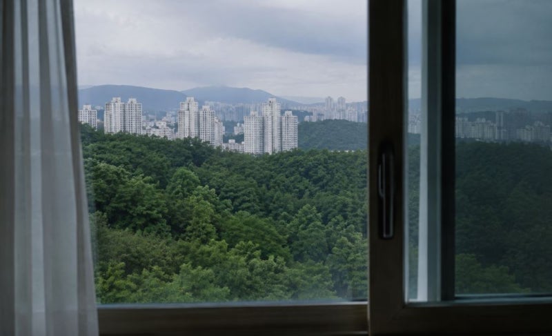 날개미 퇴치 이것만 모르면 매년 반복돼요 (현실적인 방법 정리)