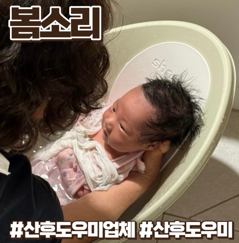 창원 봄소리 산후도우미 업체 15일 추천 솔직 후기