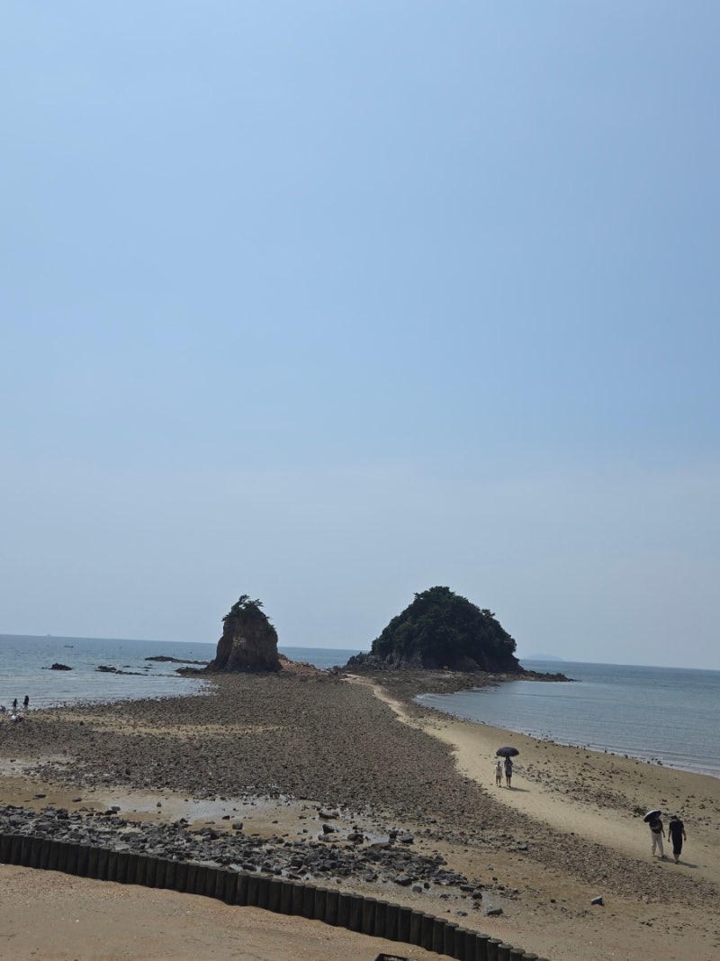 태안가볼만한곳ㅣ꽃지해수욕장, 카트체험, 안흥 꽃게장ㅣ애견동반코스