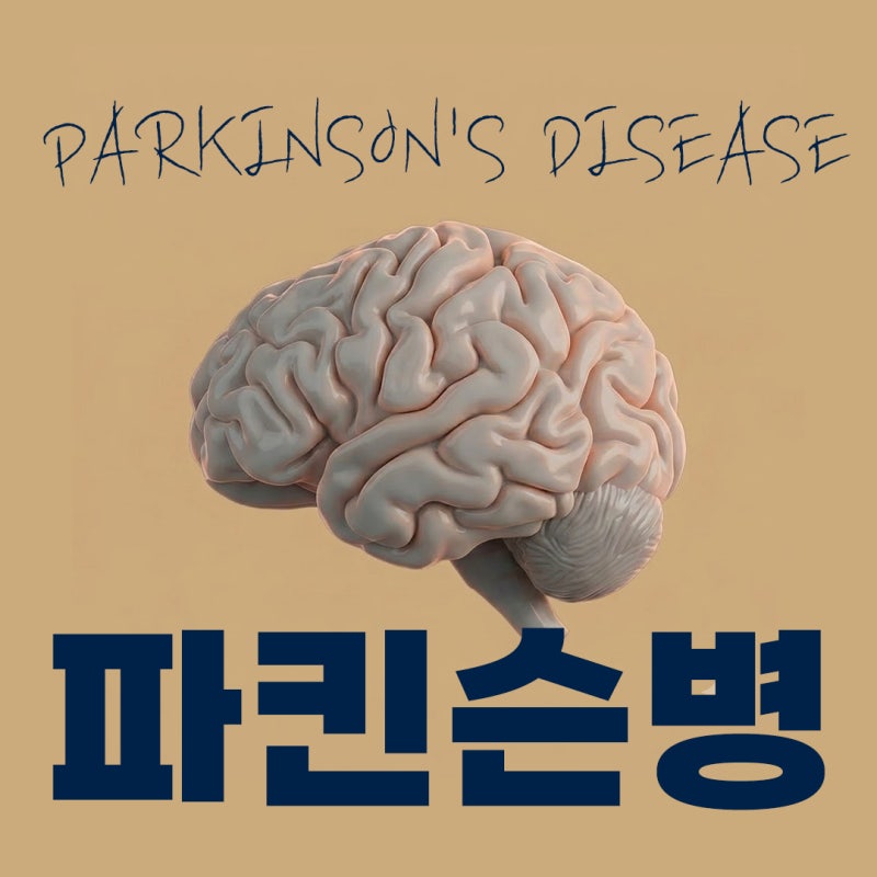 파킨슨병 4대 운동 증상과 예후: 물리치료사가 제안하는 단계별 기능 회복 전략