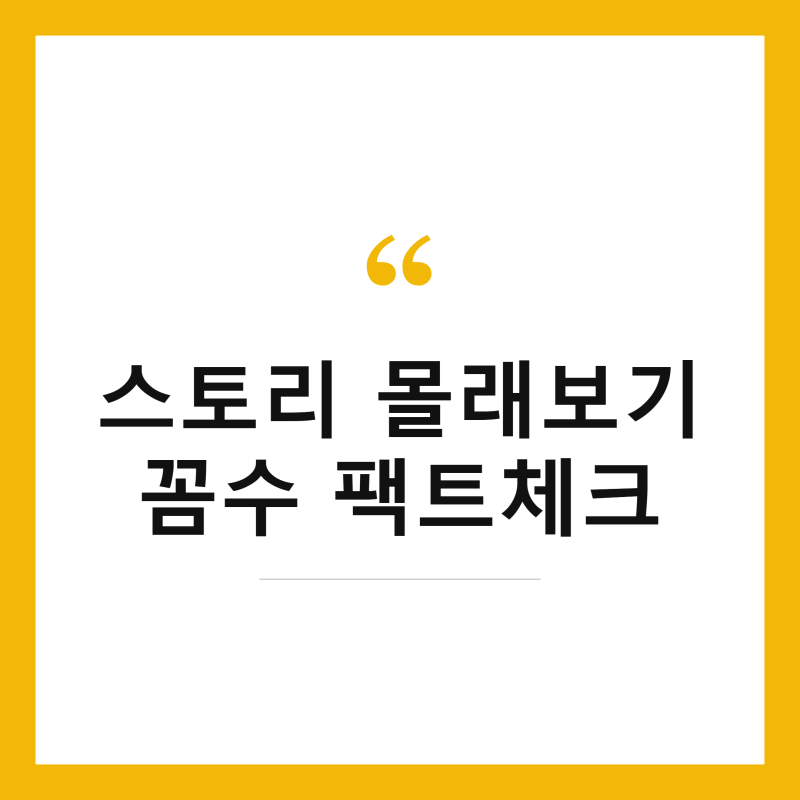 인스타그램 스토리 몰래 보기 비행기 모드 꼼수 및 무료 사이트 팩트체크 총정리