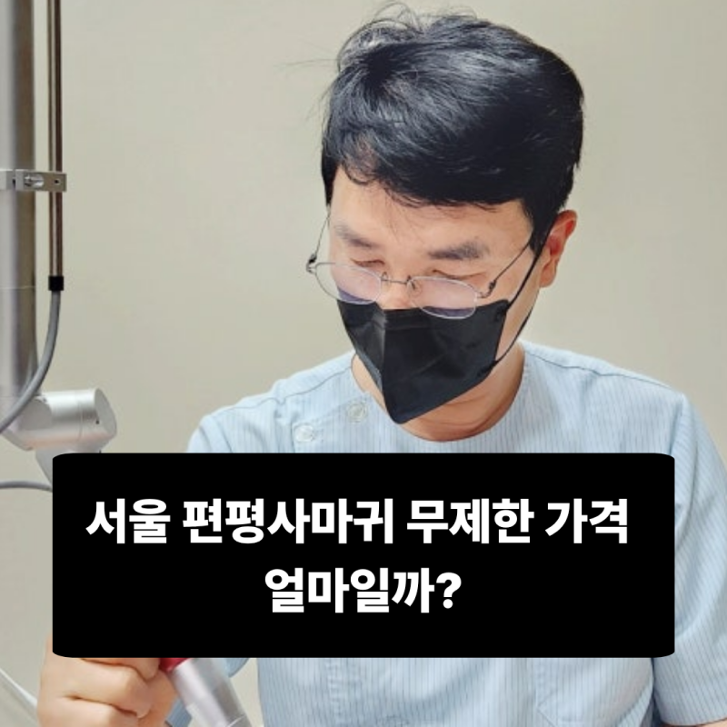 서울 편평사마귀 무제한 가격 얼마일까?