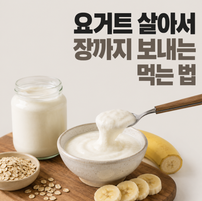 다 같은 유산균일까? 요거트 프로바이오틱스 균주 차이부터 살아서 장까지 보내는 먹는 법