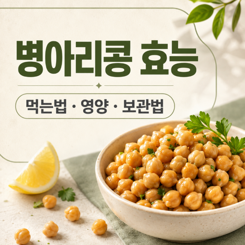병아리콩 효능 총정리｜칼로리부터 먹는법, 영양 살리는 삶기와 보관법까지