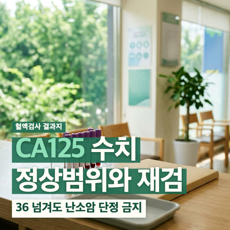 CA125 수치 37 42 80 150 200 생리 중 정상범위 재검
