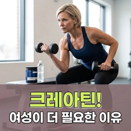 크레아틴효과, 복용법 정리와 여성에게 더 필요한 이유