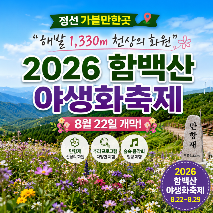 [2026 정선 가볼만한곳] "해발 1,330m 천상의 화원" <b>함백산 야생화축제</b> ....
