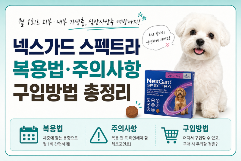 강아지 넥스가드 스펙트라 복용법·주의사항·구입방법 총정리