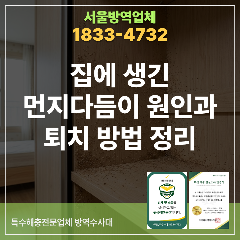 먼지다듬이 원인과 퇴치 방법 정리