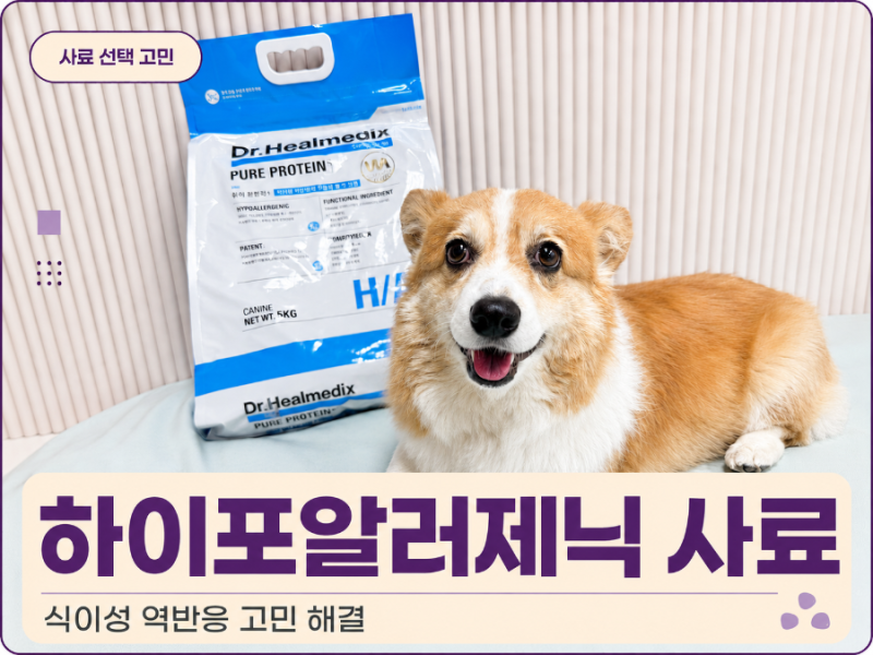 강아지사료 하이포알러제닉 가수분해사료를 선택한 이유