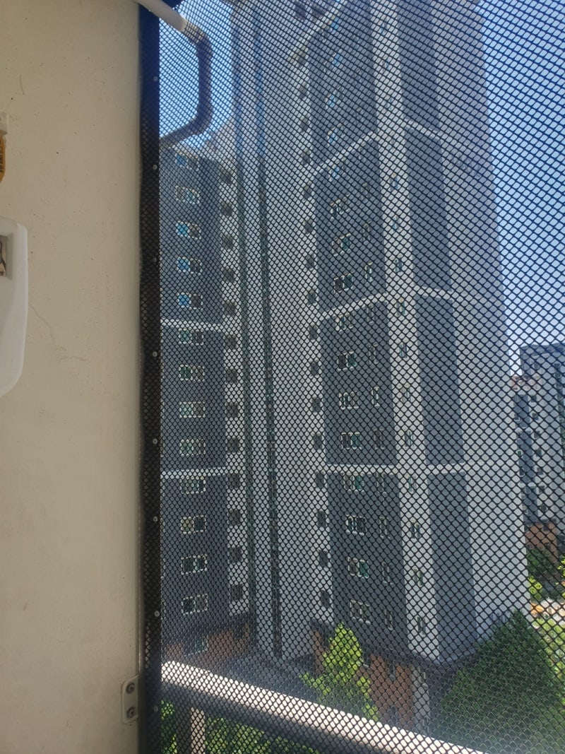 인천 연수구 아파트 실외기 비둘기 똥 청소 비둘기퇴치 방법