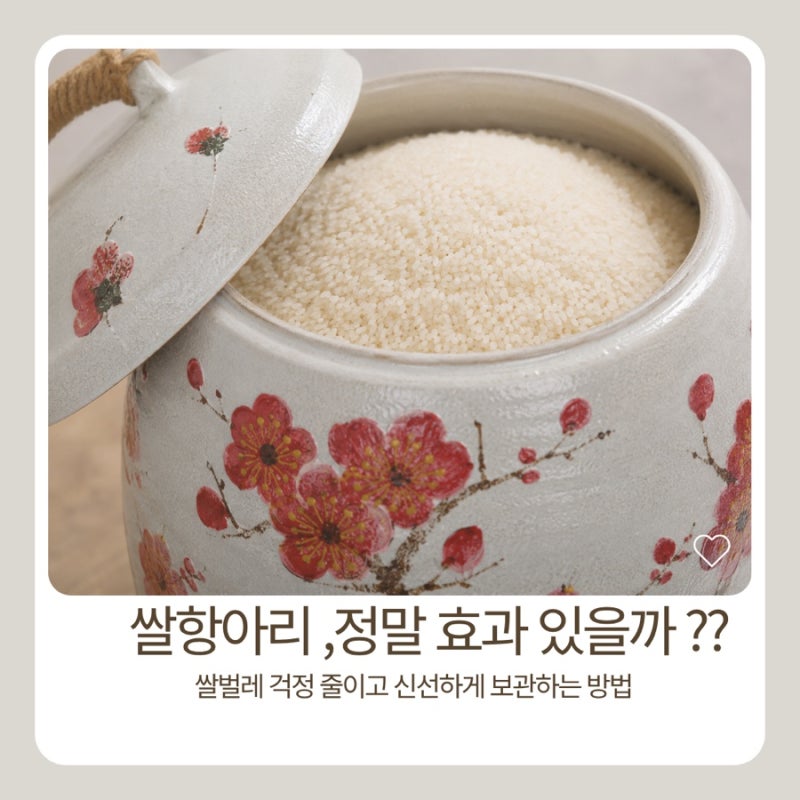 쌀항아리 정말 효과있을까? 쌀벌레 걱정 줄이고 신선하게 보관하는 방법