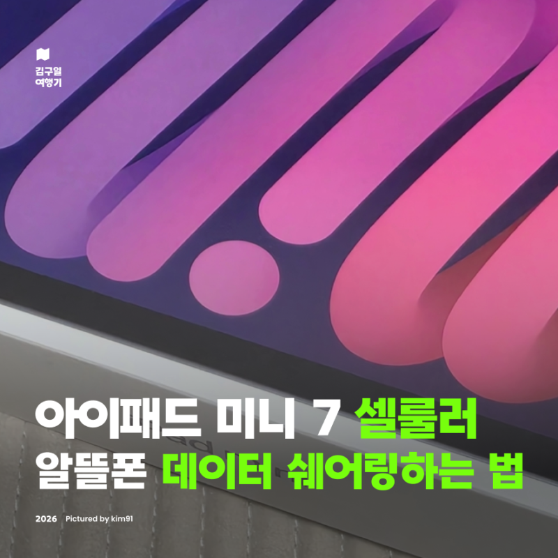 아이패드 미니7 셀룰러 개통하는법, 알뜰폰 엠모바일 esim 데이터쉐어링 개통 방법