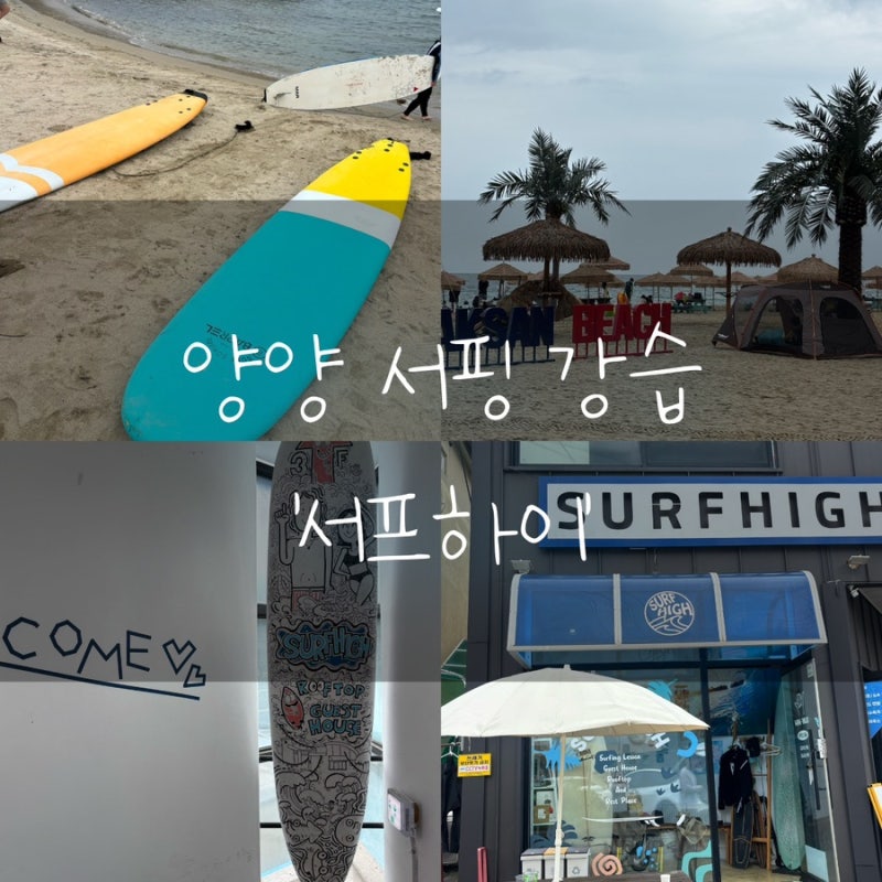 강원도 양양 서핑 강습 인구해변 ‘서프하이’ 강습후기 (가격, 샤워실, 주차)