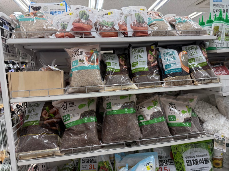다이소 분갈이 흙 모음 원예용상토 마사토 배양토 자갈 다있네!
