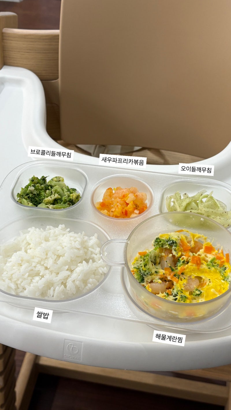 15개월 아기 식단 / 아기 무염 반찬 메뉴 추천 / 식판샷 / 초간단 레시피 공유