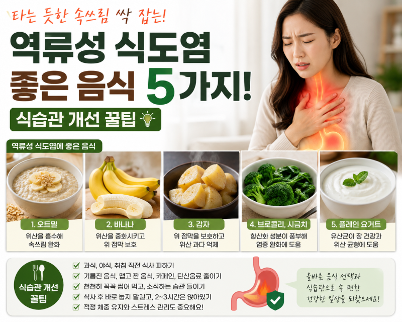 역류성 식도염에 좋은 음식 5가지! 타는 듯한 속 쓰림 싹 잡는 식습관 개선 꿀팁
