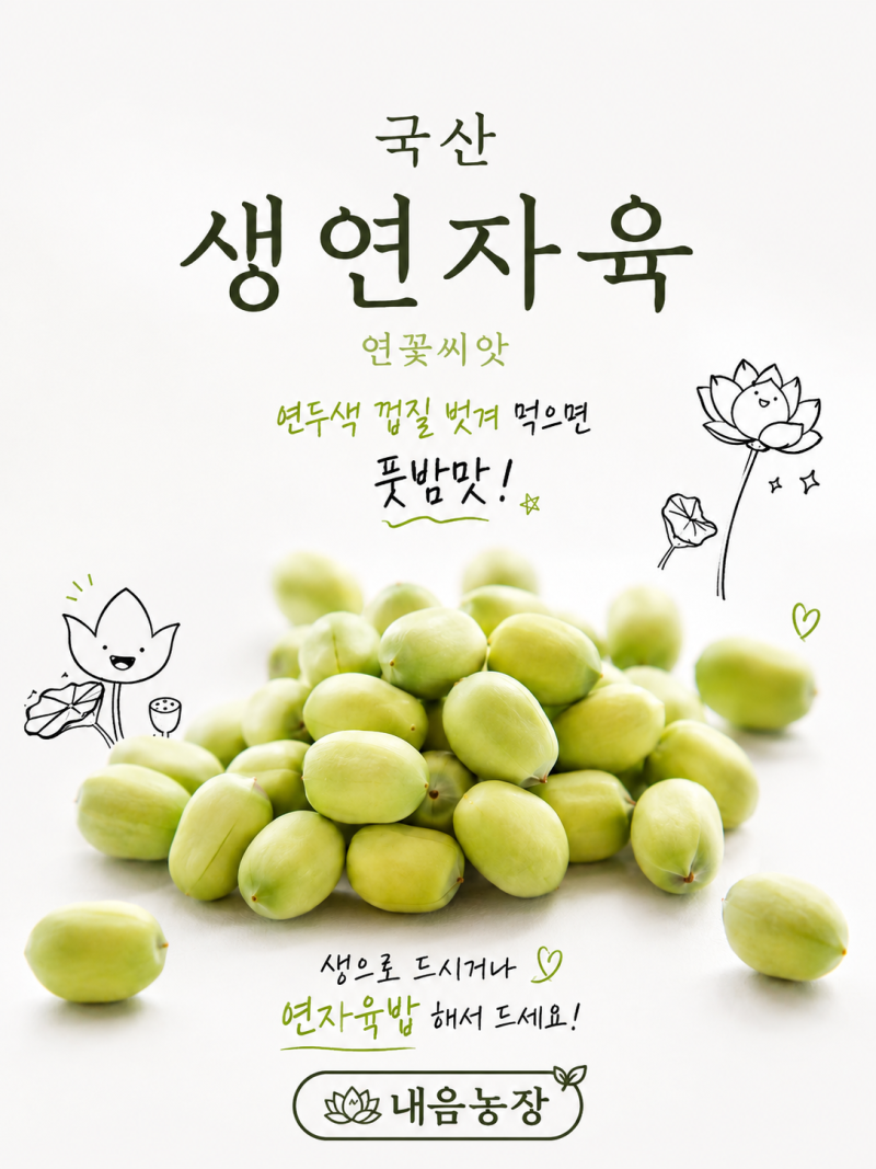 [마감]2026년 햇 생연자육(초록연씨) 주문주세요