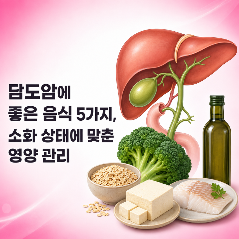 담도암에 좋은 음식 5가지, 소화 상태에 맞춘 영양 관리