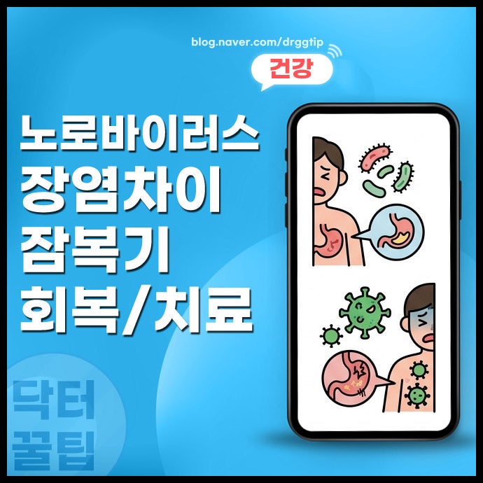 노로바이러스 장염 차이 각각의 증상과 잠복기 전염 회복 기간 치료 방법까지