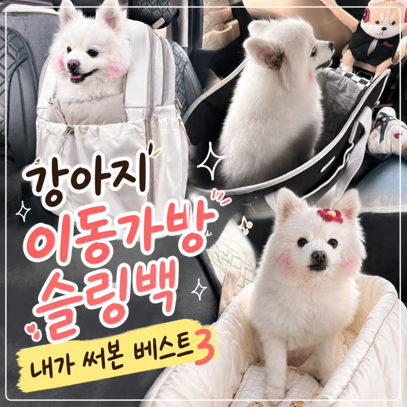 강아지 이동가방 내가 써본 것 중 베스트3 슬링백 백팩