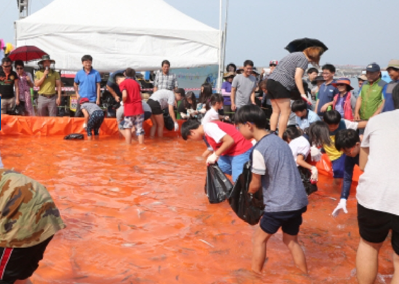 2026 서천 홍원항 전어·꽃게 축제 완벽 정리 | 자연산 전어 맨손잡기·제철 꽃게, 주차·교통까....