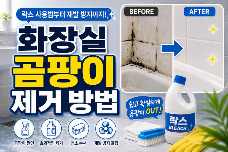 화장실 곰팡이 제거 방법, 락스부터 환기·재발 방지까지 제대로 정리