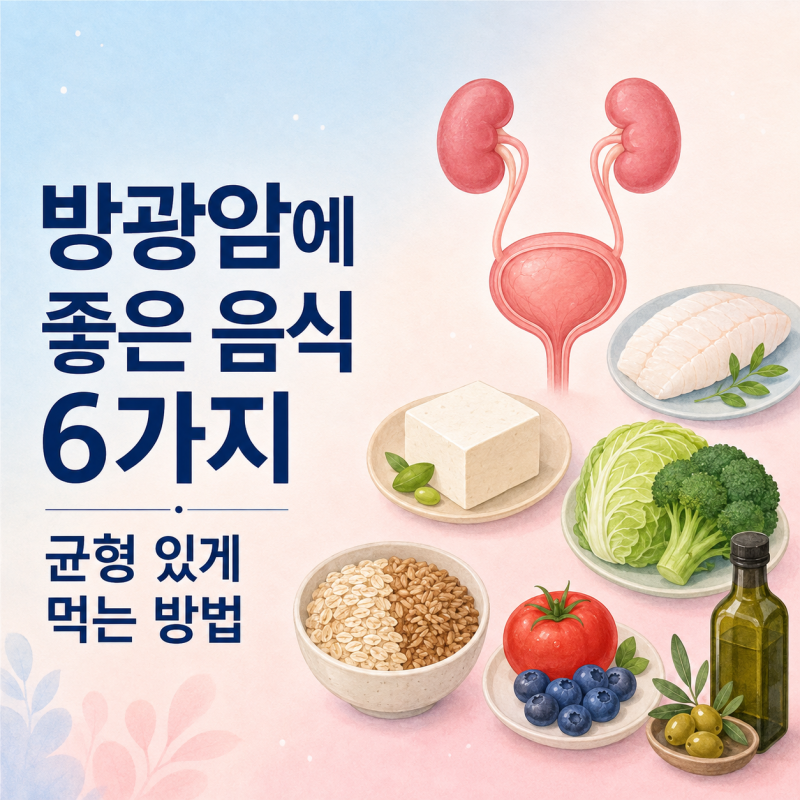 방광암에 좋은 음식 6가지, 균형 있게 먹는 방법