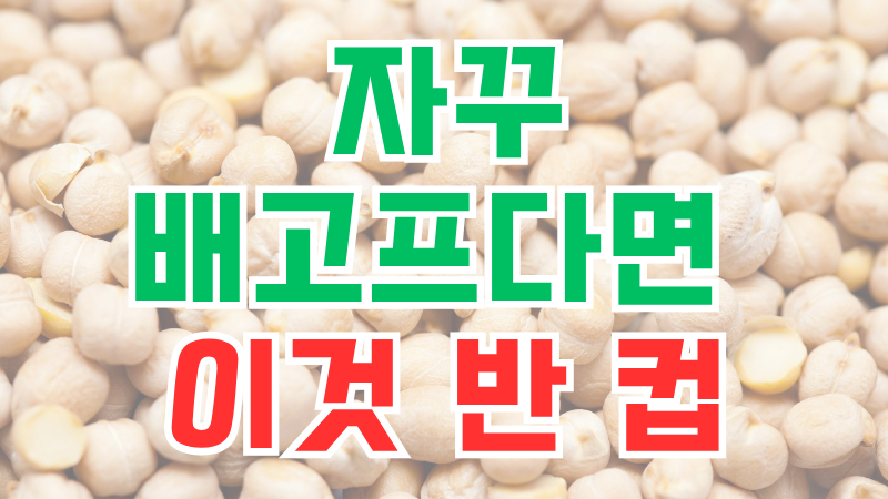 병아리콩 먹는법 | 단백질·식이섬유 챙기는 한 끼 레시피