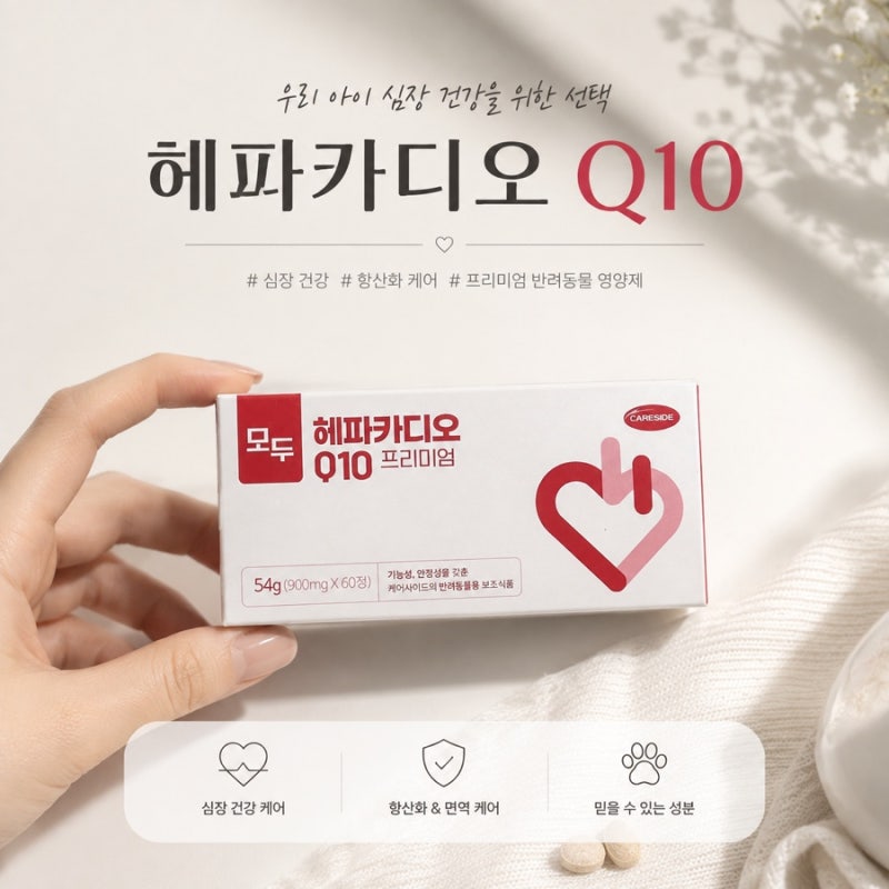 고양이 심장 영양제 찾다가 구매한 헤파카디오Q10 프리미엄, 직접 먹여본 후기