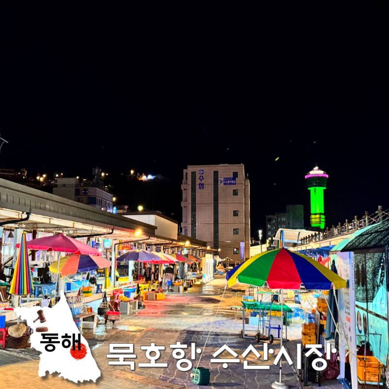 동해 묵호항 수산시장 활어회판매센터, 늦게 가지마세요!