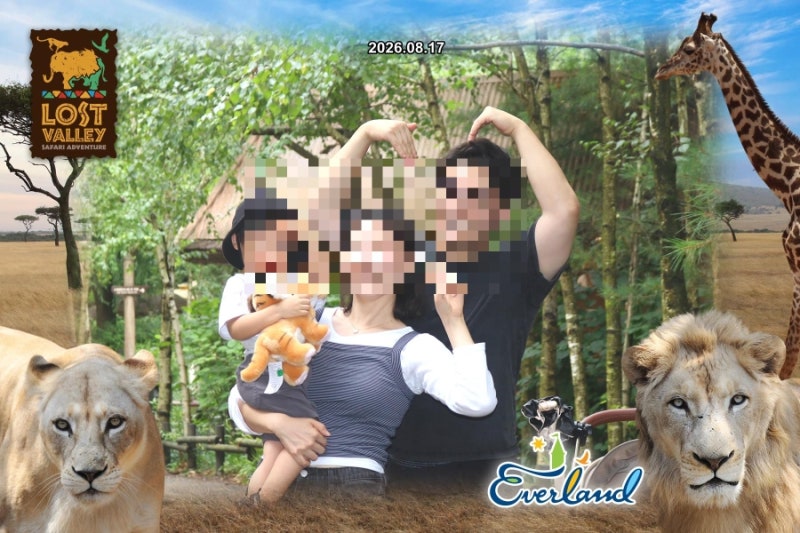 [용인] 30개월 아기랑 간만에 에버랜드_나이트사파리 자리추천, 무료 주차장 추천, 아기사자 ....