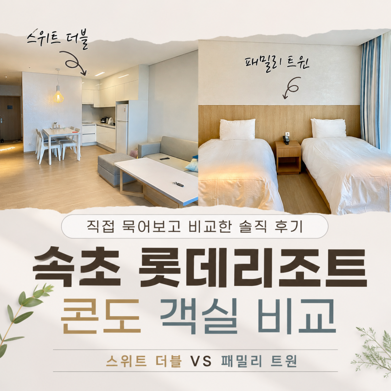 속초 롯데리조트 콘도 스위트 더블 패밀리 트윈 비교 후기 예약 팁