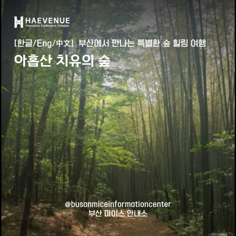 [한글/Eng/中文] 부산 기장 아홉산 자락에서 만나는 부산 치유의숲