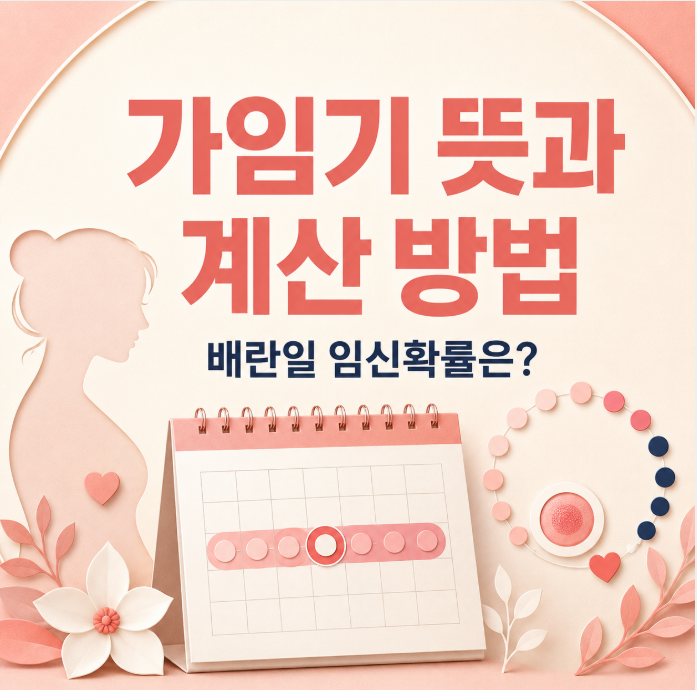 가임기 뜻과 계산 방법, 배란일 임신확률은 얼마나 될까?