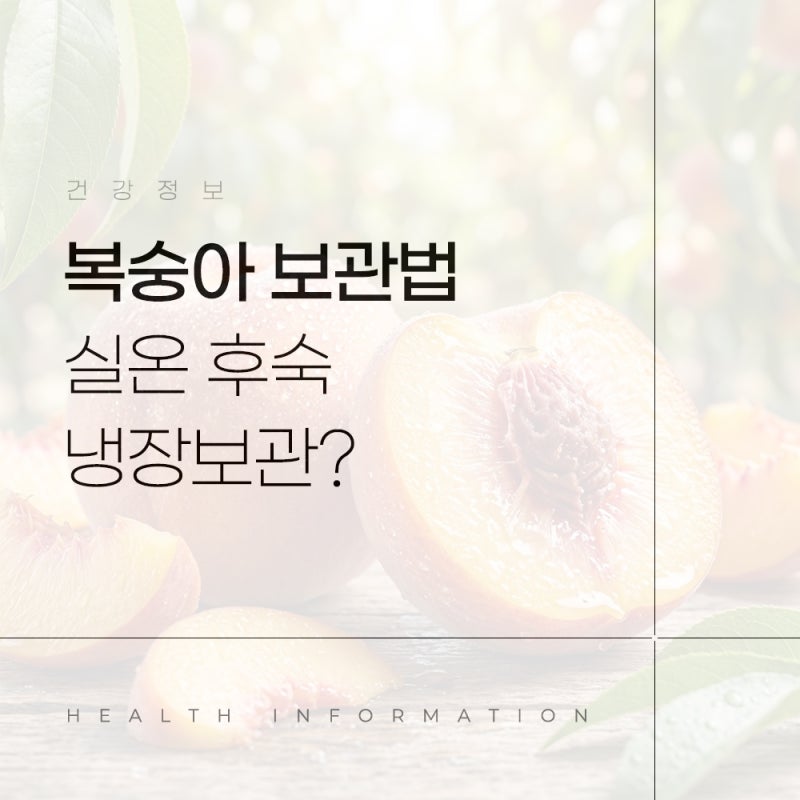 복숭아 보관법 실온 후숙 냉장보관 순서와 무르지 않게 오래 먹는 방법