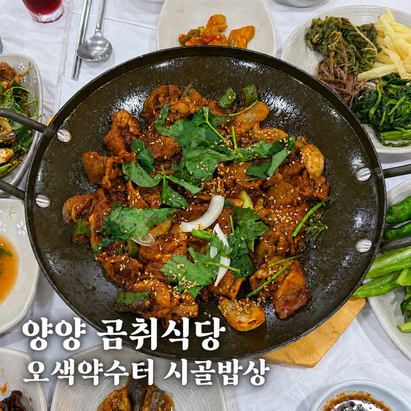 양양 오색약수터 맛집 곰취식당｜반찬 하나하나 맛있었던 돼지주물럭백반