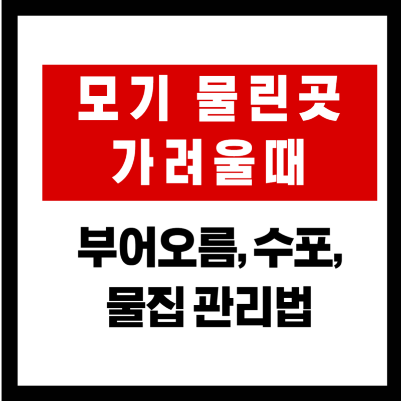 모기 물린곳 가려울때 완화법: 부어오름, 수포, 물집 대처법