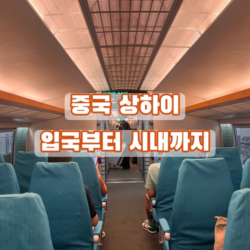 중국 상하이 | 입국심사부터 시내까지 | 가이드 요금 공항에서 마그레브 금액 할인 룽양루 난....