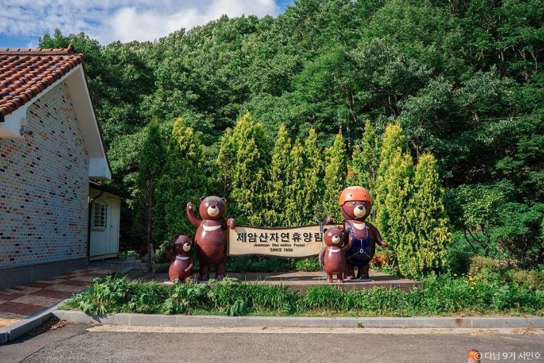 보성 제암산자연휴양림 입장료 1,000원 곰썰매부터 짚라인까지 숲길 여행 보성가볼만한곳