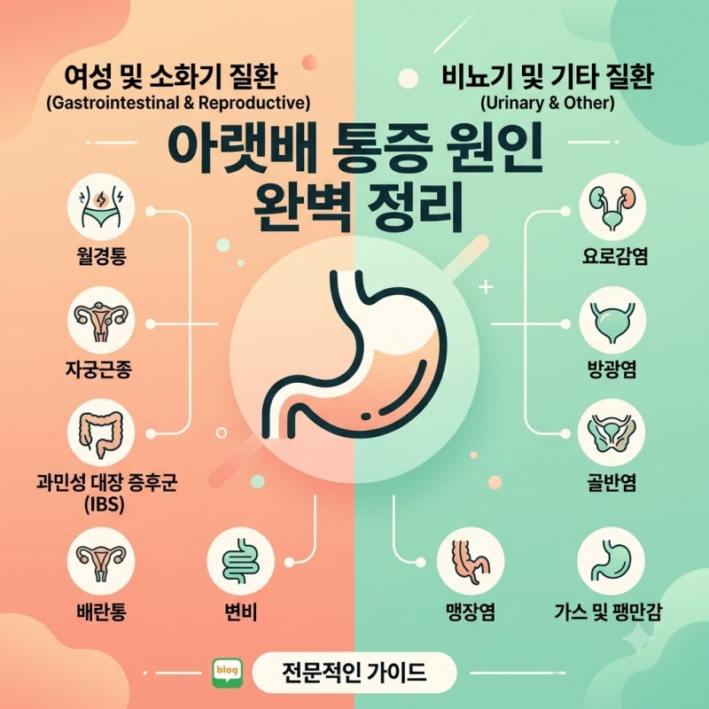 오른쪽 왼쪽 아랫배 통증 콕콕 찌르는 원인 5가지 완벽 정리