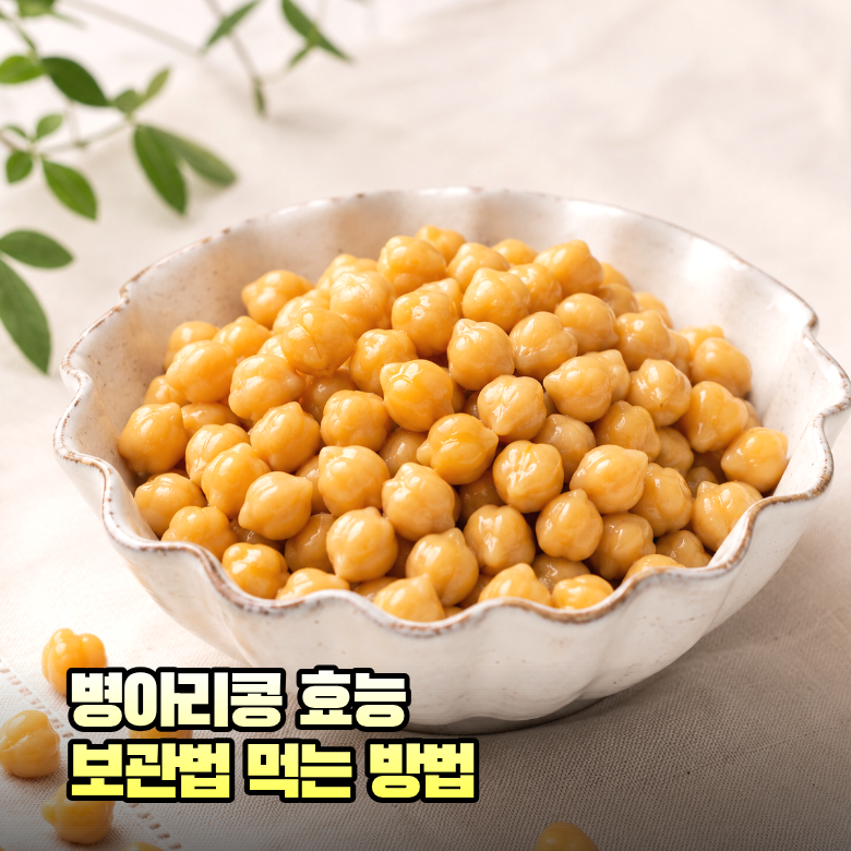 병아리콩 효능 5가지, 보관법부터 먹는법 간식까지